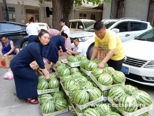 发水果dg.jpg