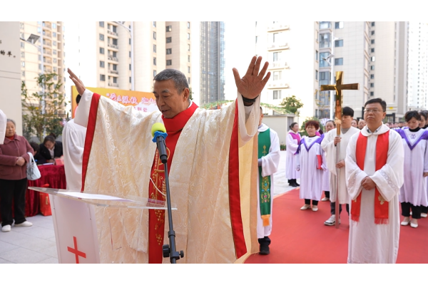 扎根中华沃土 绽放华夏荣光