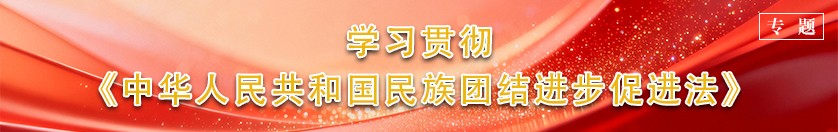 学习贯彻《中华人民共和国民族团结进步促进法》
