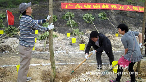 广东省基督教两会参与植树护林活动