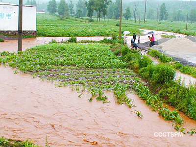 洪水无情人有情——请弟兄姊妹为全国洪涝灾情代祷